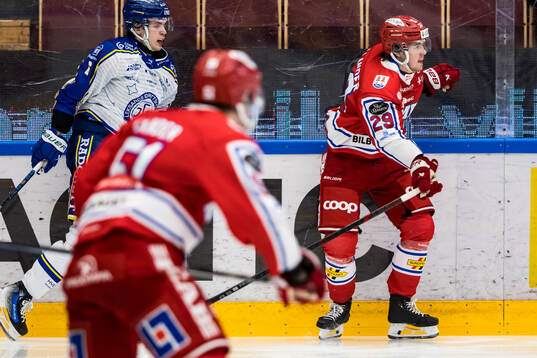 Timrås Filip Hållander