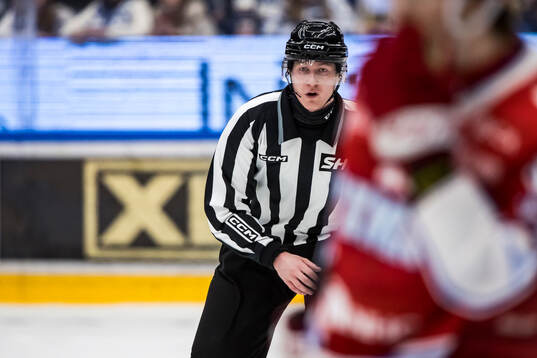 Linjedomare Tobias Nordlander