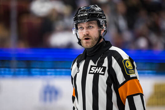 Domare Daniel Eriksson