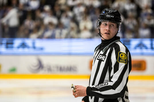Linjedomare Tobias Nordlander