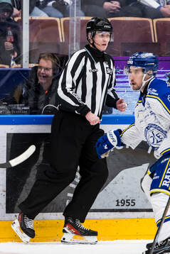 Linjedomare Tobias Nordlander