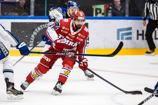 Timrås Robin Hanzl