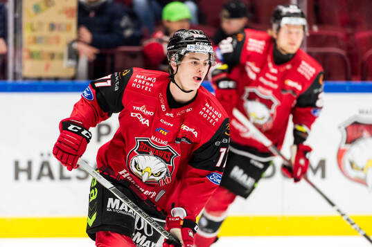 Malmö Redhawks Hjalte Kruse Thomsen