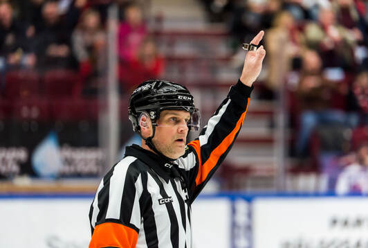 Domare Mikael Nord