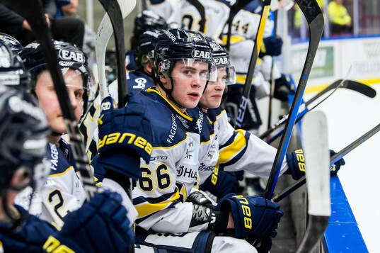 HV71s Herman Träff deppar