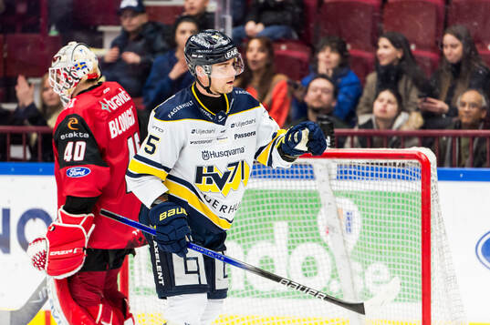 HV71s Radan Lenc jublar