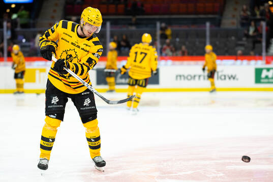 Skellefteås Max Lindholm