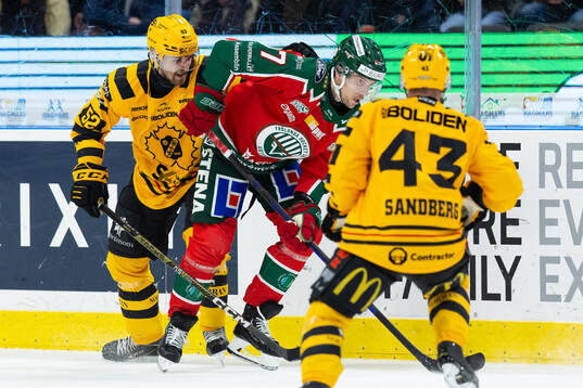 Skellefteås Arvid Lundberg och Frölundas Henrik Tömmernes