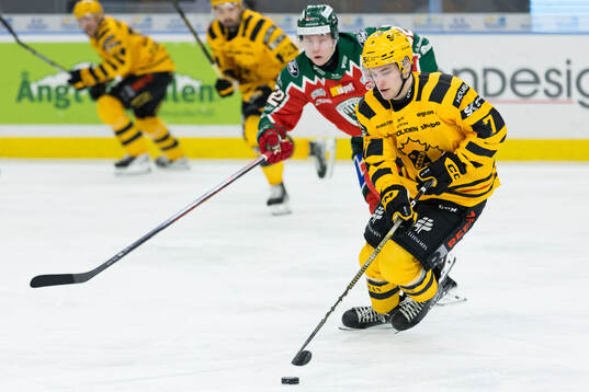 Skellefteås Frans Haara