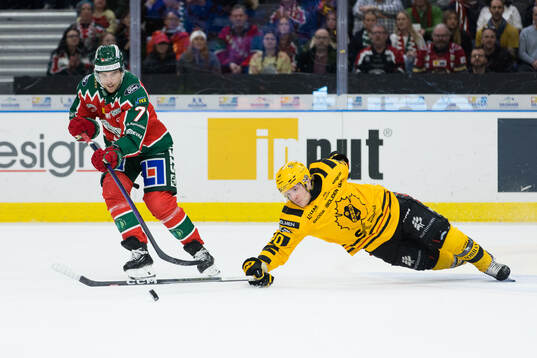 Frölundas Henrik Tömmernes och Skellefteås Anton