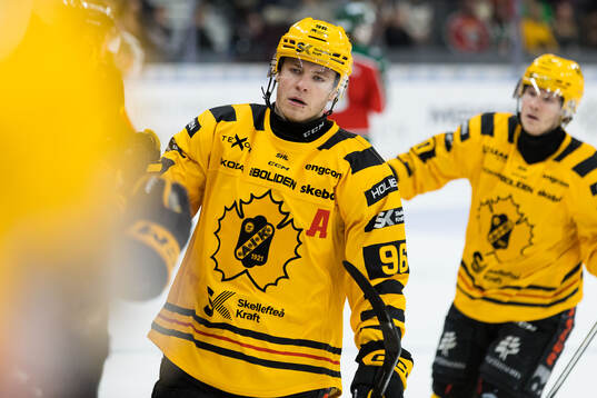 Skellefteås Rickard Hugg jublar
