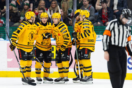 Skellefteås Rickard Hugg jublar