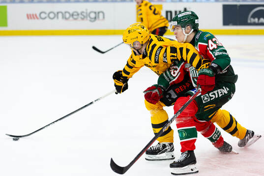 Skellefteås Max Lindholm och Frölundas Tom Nilsson