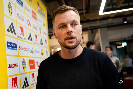 Assistant coach Sebastian Larsson of the Swedish national