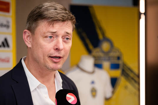 Head coach Jon Dahl Tomasson of the Swedish national