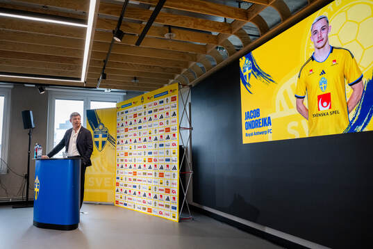 Head coach Jon Dahl Tomasson of the Swedish national