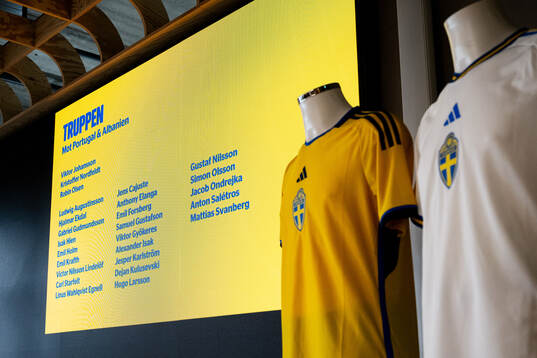 Team Head coach Jon Dahl Tomasson of the Swedish national