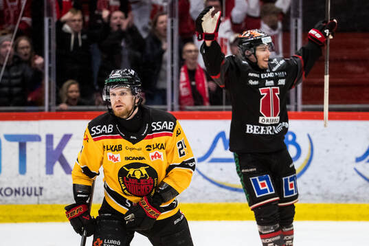 Luleås Brendan Shinnimin deppar