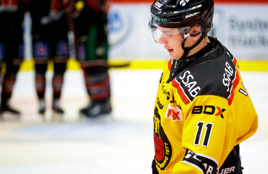 Luleås Nikola Pasic deppar vid 2-1