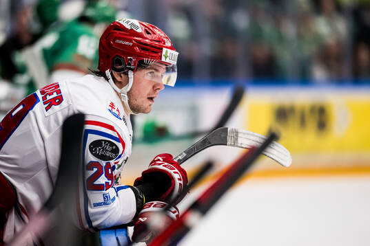 Timrås Filip Hållander