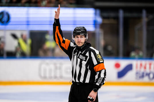 Domare Kristoffer Folkstrand
