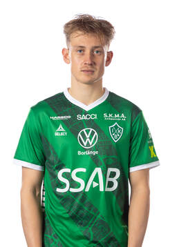 Brages Henry Sletsjoe