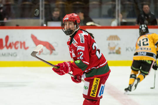Modos Taylor House innan final ett i SDHL mellan Modo och