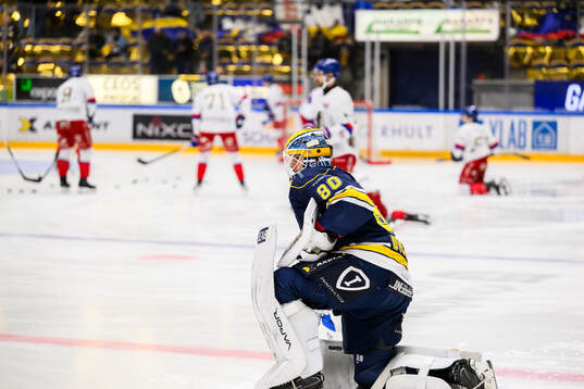 HV71s målvakt Frederik Dichow