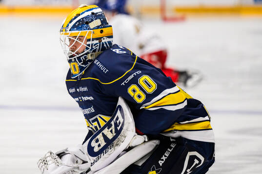 HV71s målvakt Frederik Dichow