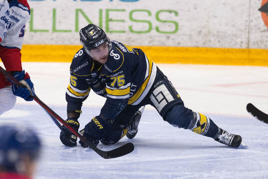 HV71s Radan Lenc