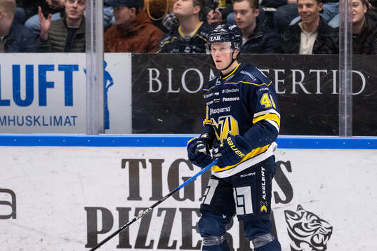 HV71s Oskar Stål-Lyrenäs deppar