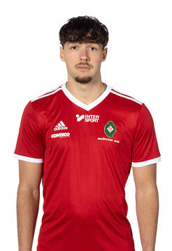 Skövdes Hannes Forsgård