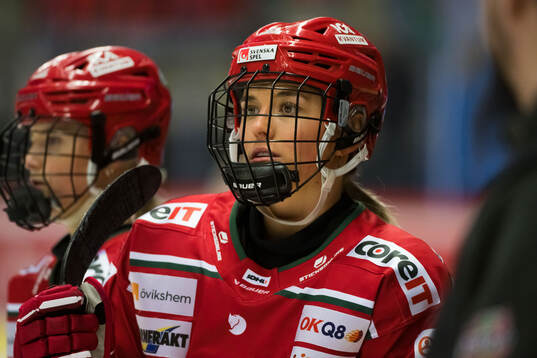 Modos Victoria Klimek