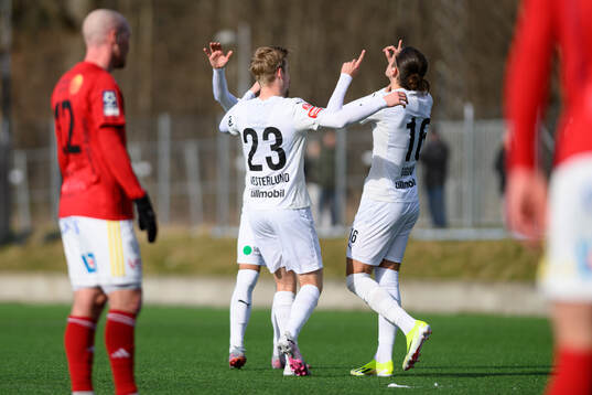 Helsingborgs Ervin Gigovic jublar