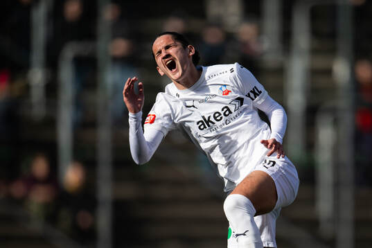 Helsingborgs Ervin Gigovic har ont