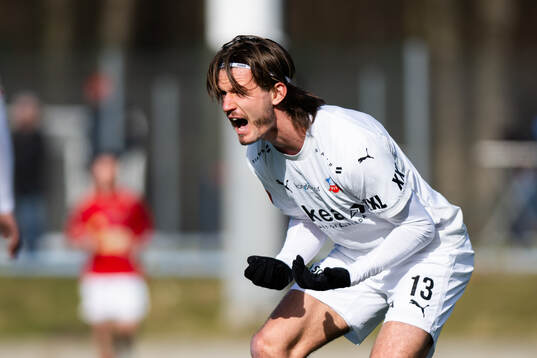Helsingborgs Wilhelm Loeper agerar