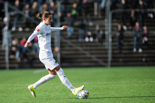 Helsingborgs Ervin Gigovic