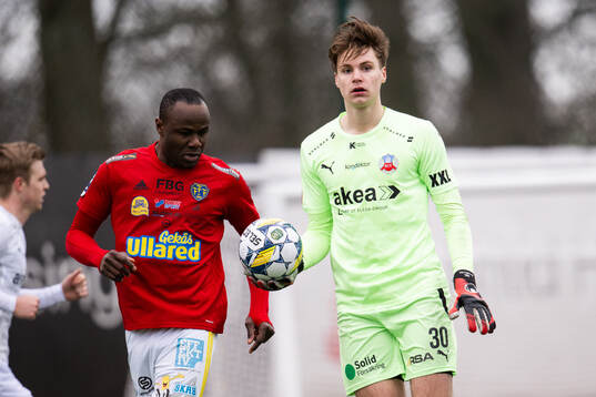 Helsingborgs målvakt Nils Arvidsson