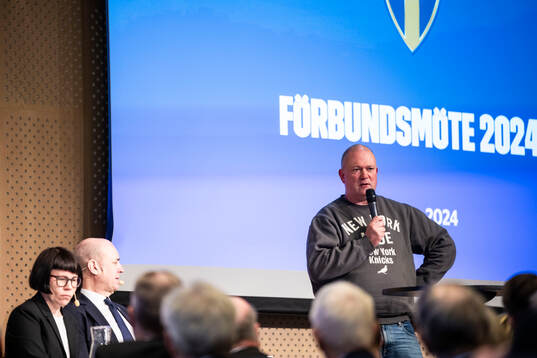 Henrik Berggren, Djurgården och SEF
