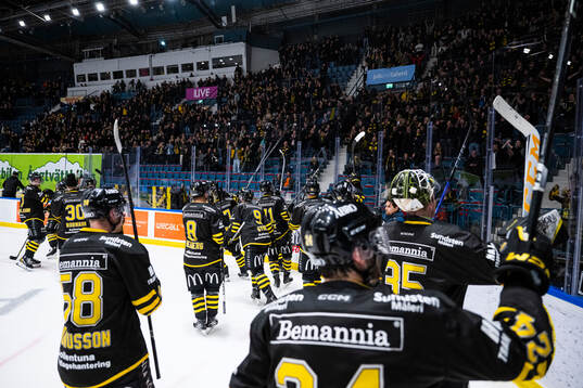 AIKs spelare jublar med publiken