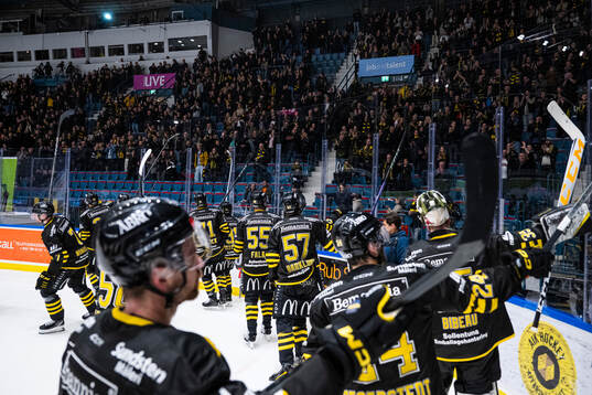 AIKs spelare jublar med publiken