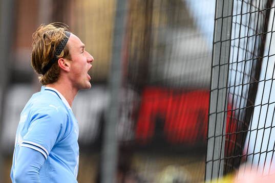 Malmö FFs Erik Botheim jublar