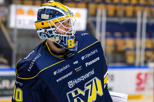 HV71s målvakt Frederik Dichow