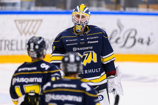 HV71s målvakt Frederik Dichow jublar