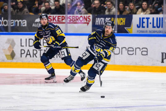 HV71s Mattias Tedenby