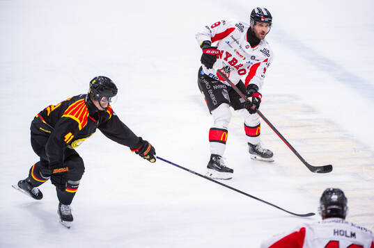 Brynäs Greg Scott och Nybros Eero Savilahti