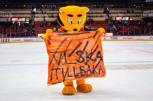 Brynäs maskot Brynästigern med en banderoll där det