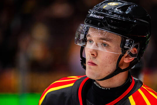 Brynäs Theo Lindstein