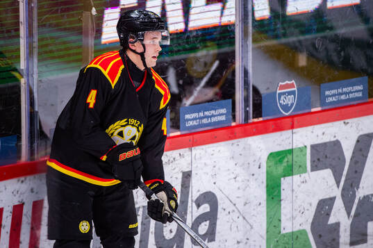 Brynäs Theo Lindstein