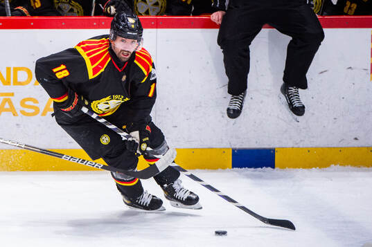 Brynäs Anton Rödin